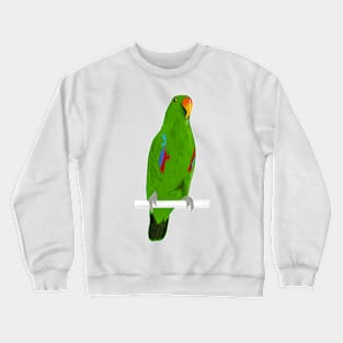 Ekkie Cute Green Eclectus Parrot for parrot lovers Crewneck Sweatshirt